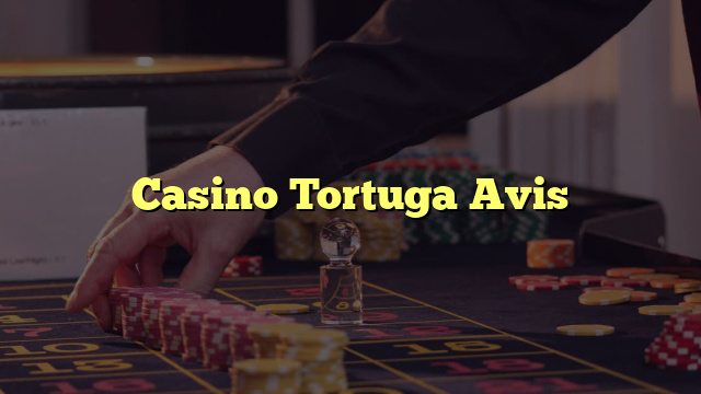 Casino Tortuga Avis