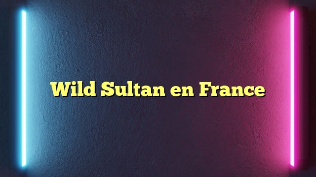 Wild Sultan en France